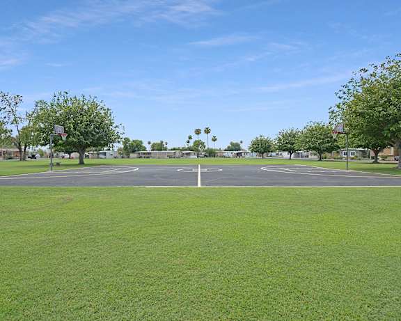 Photo Gallery Image