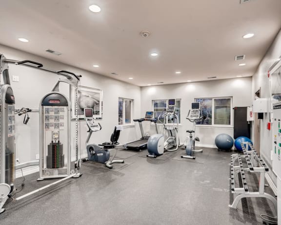 Photo Gallery Image