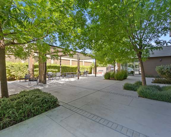 Photo Gallery Image