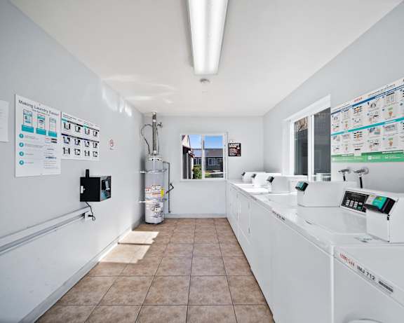 Photo Gallery Image