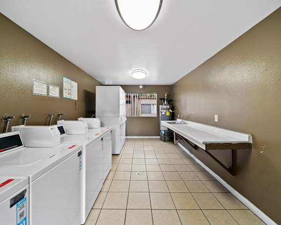 Photo Gallery Image