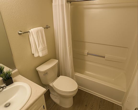 Photo Gallery Image
