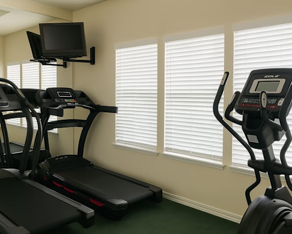 Photo Gallery Image