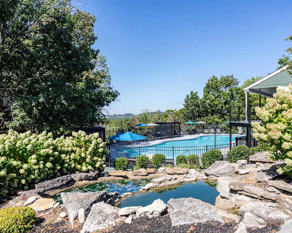 Photo Gallery Image