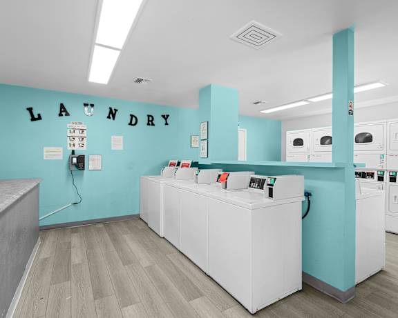 Photo Gallery Image