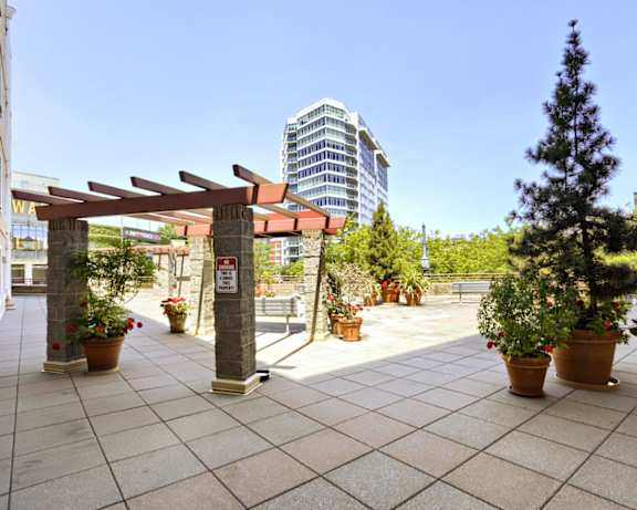 Photo Gallery Image