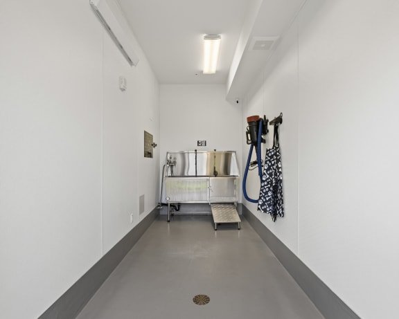 Photo Gallery Image