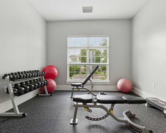 Photo Gallery Image