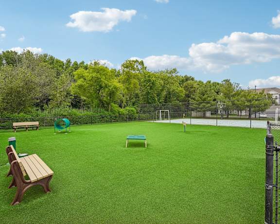 Photo Gallery Image