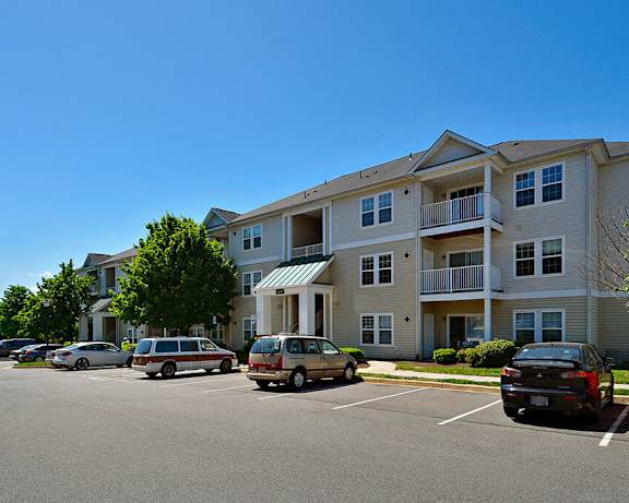 Photo Gallery Image