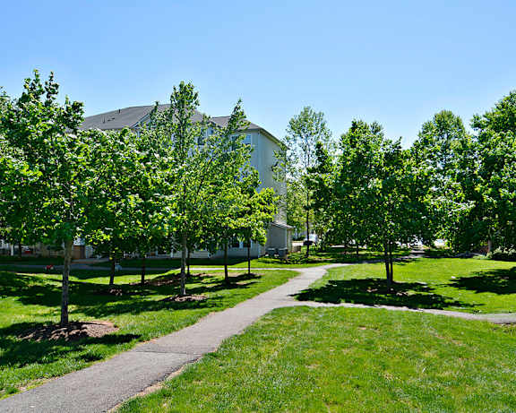 Photo Gallery Image