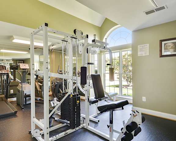 Photo Gallery Image