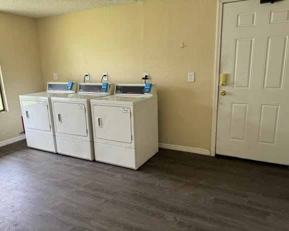 Photo Gallery Image