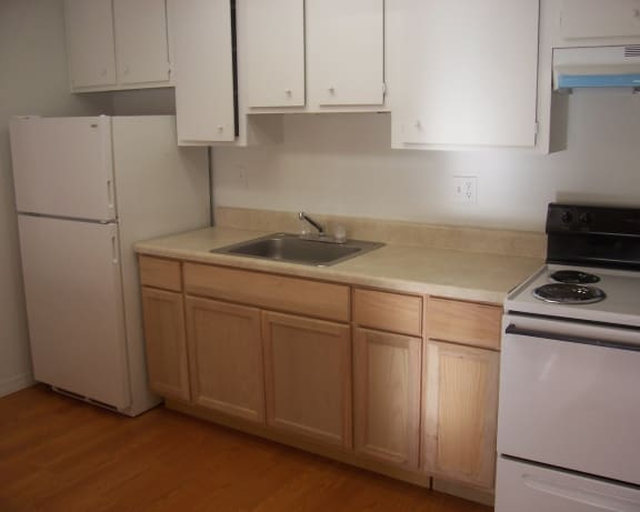 Photo Gallery Image