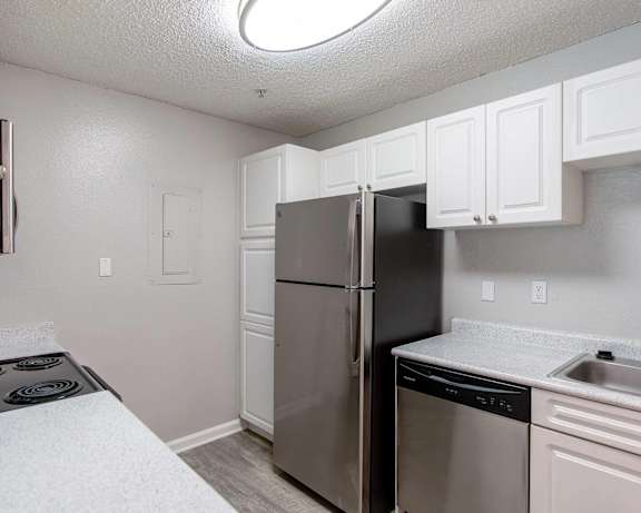 Photo Gallery Image