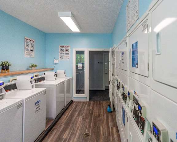 Photo Gallery Image