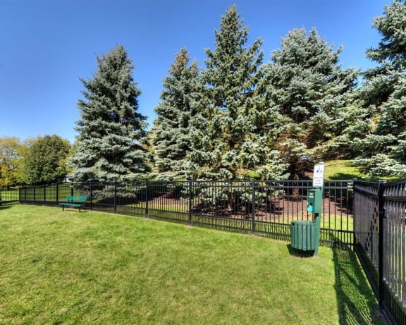 Photo Gallery Image