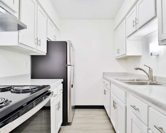 Photo Gallery Image