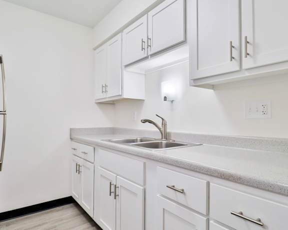 Photo Gallery Image