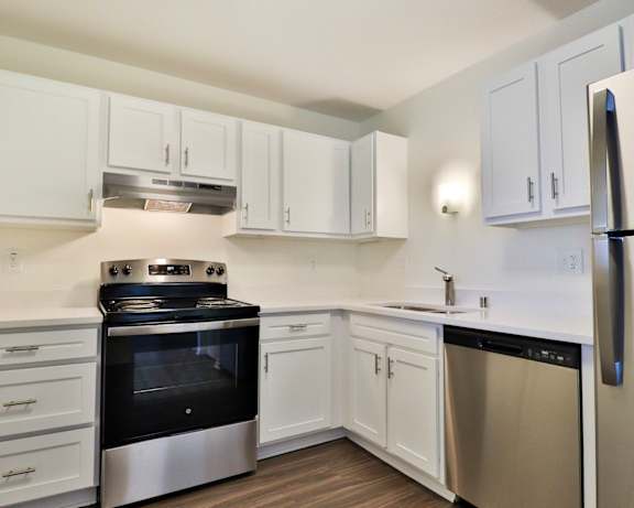 Photo Gallery Image