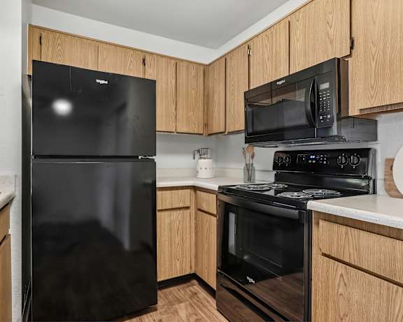Photo Gallery Image