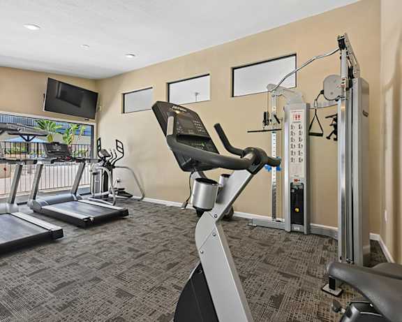 Photo Gallery Image