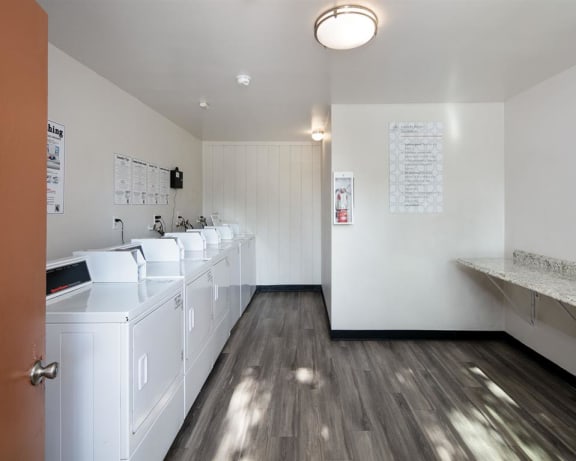 Photo Gallery Image