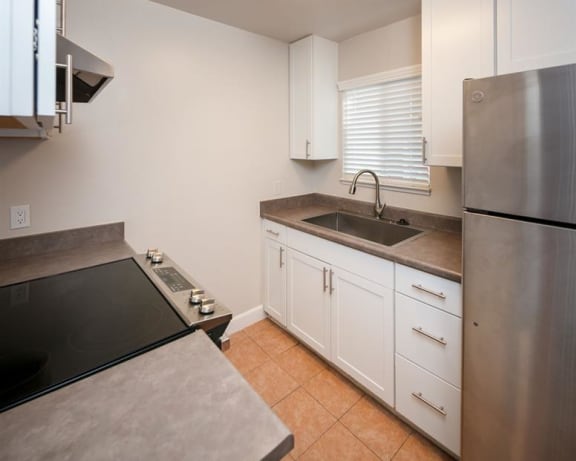 Photo Gallery Image