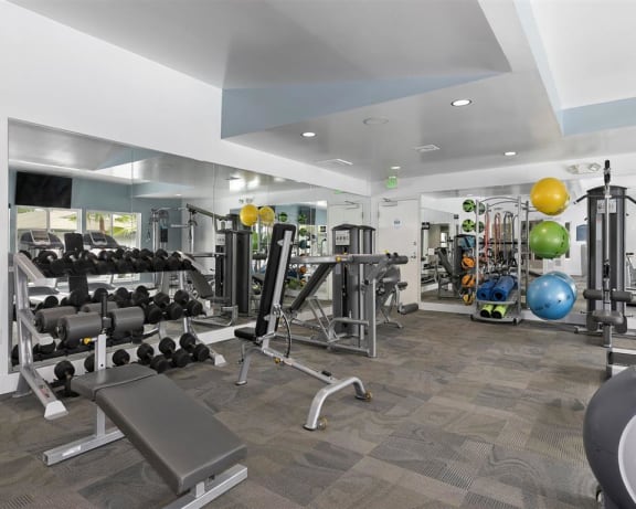 Photo Gallery Image