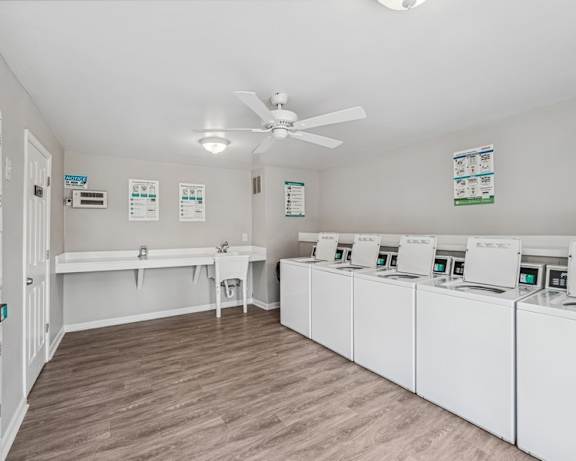 Photo Gallery Image