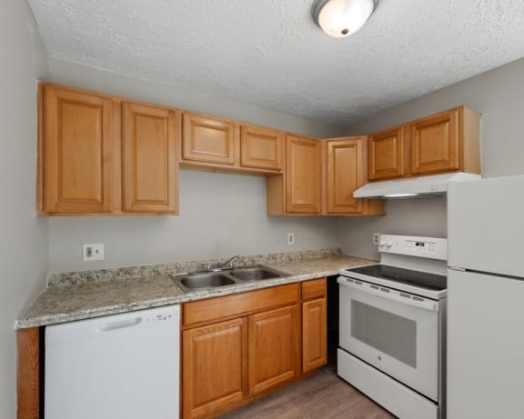 Photo Gallery Image