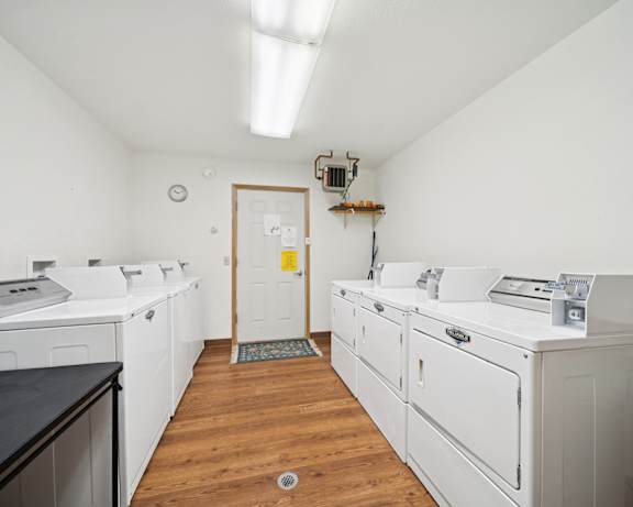Photo Gallery Image
