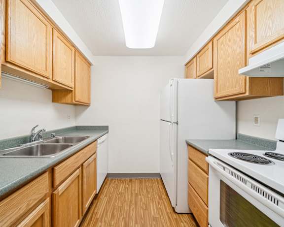 Photo Gallery Image