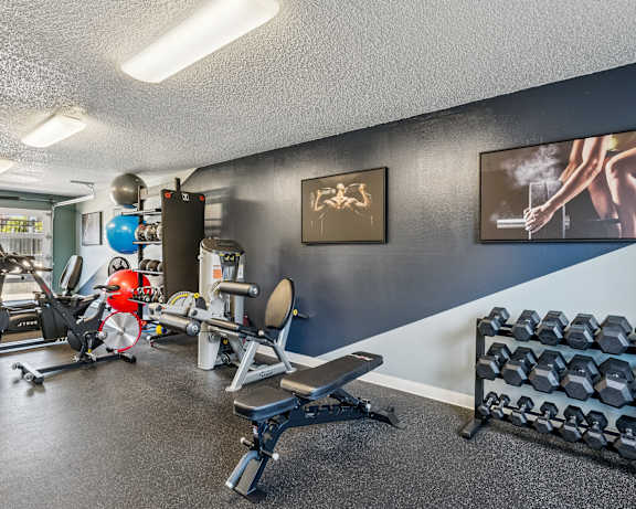 Photo Gallery Image