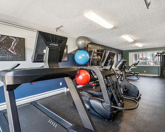 Photo Gallery Image