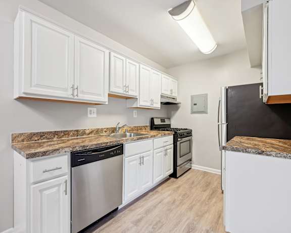 Photo Gallery Image