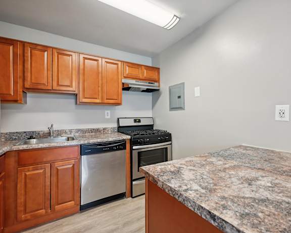 Photo Gallery Image