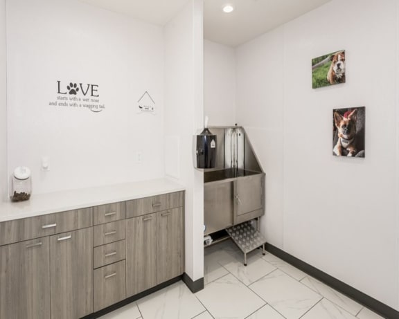 Photo Gallery Image