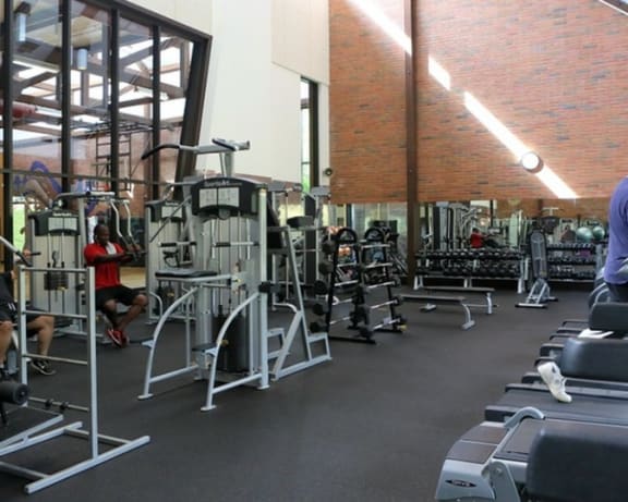 Photo Gallery Image