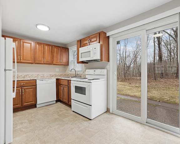 Photo Gallery Image