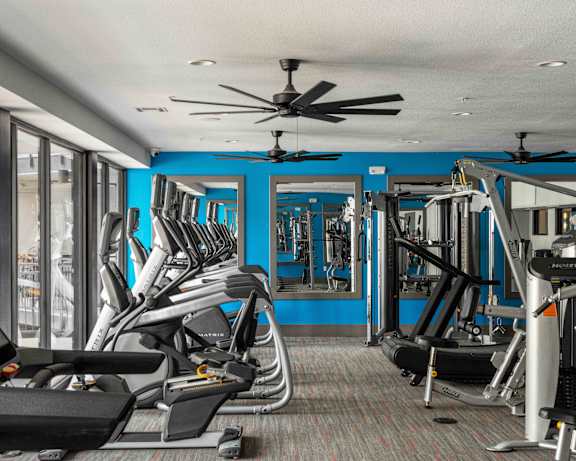 Photo Gallery Image