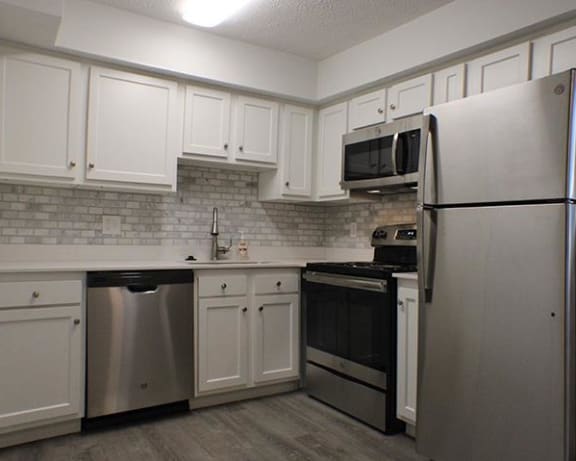 Photo Gallery Image