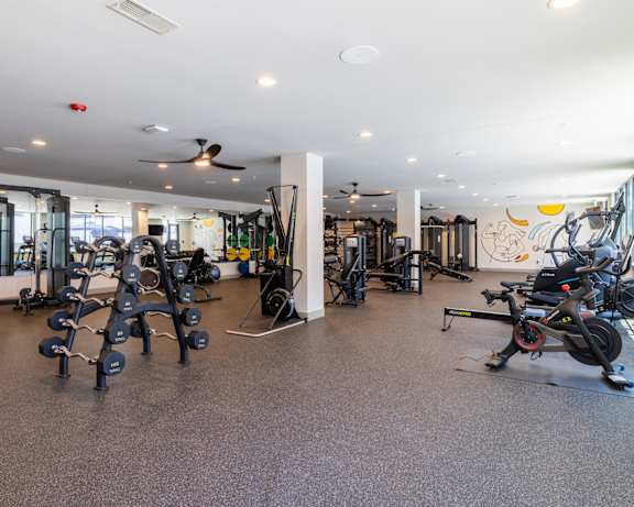 Photo Gallery Image