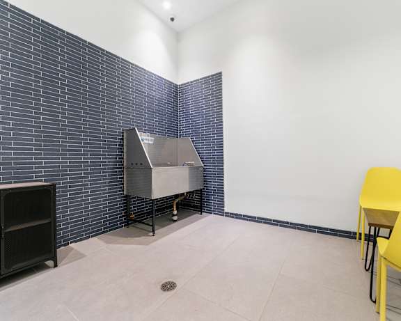 Photo Gallery Image