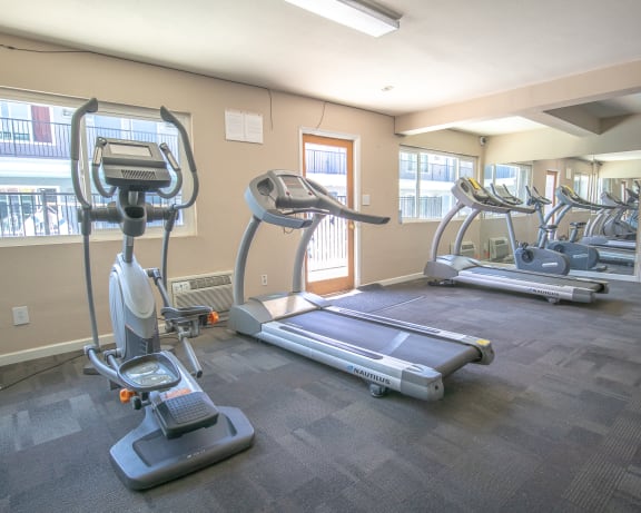 Photo Gallery Image