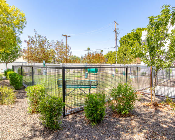 Photo Gallery Image