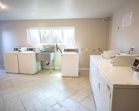 Photo Gallery Image