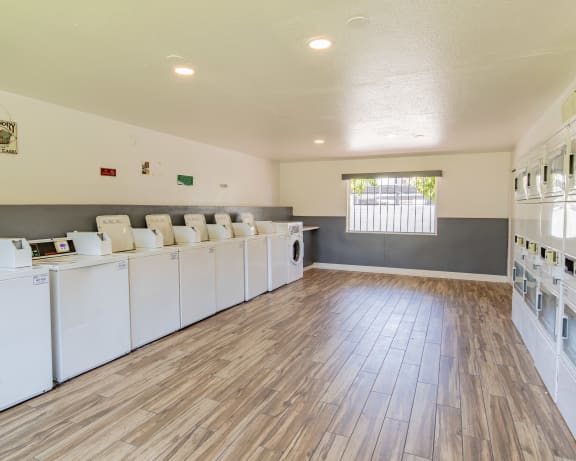 Photo Gallery Image