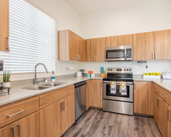 Photo Gallery Image