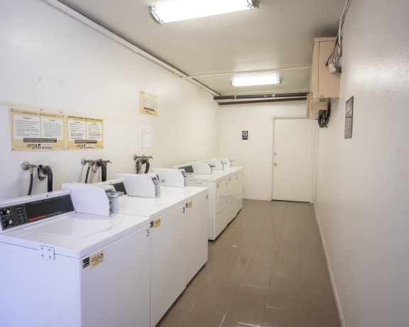 Photo Gallery Image